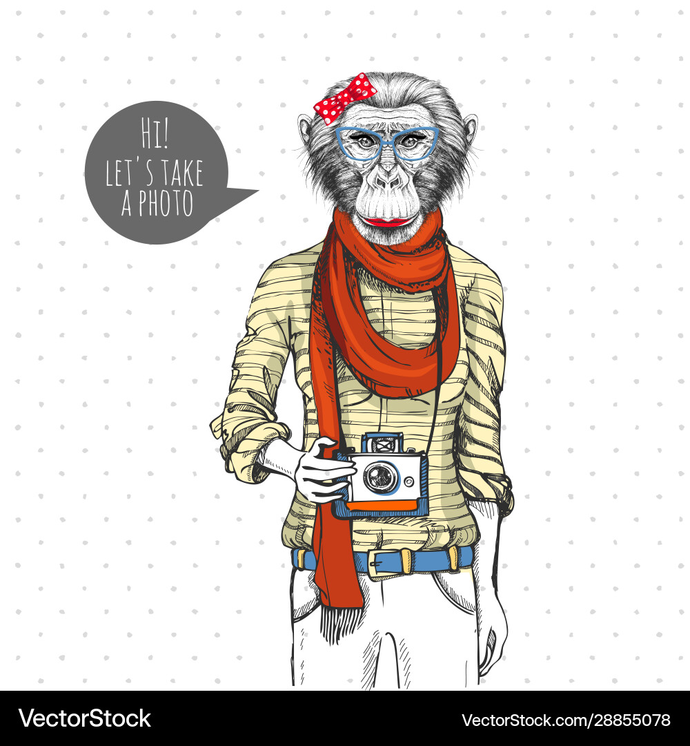 Retro hipster animal monkey with photo camera vector image