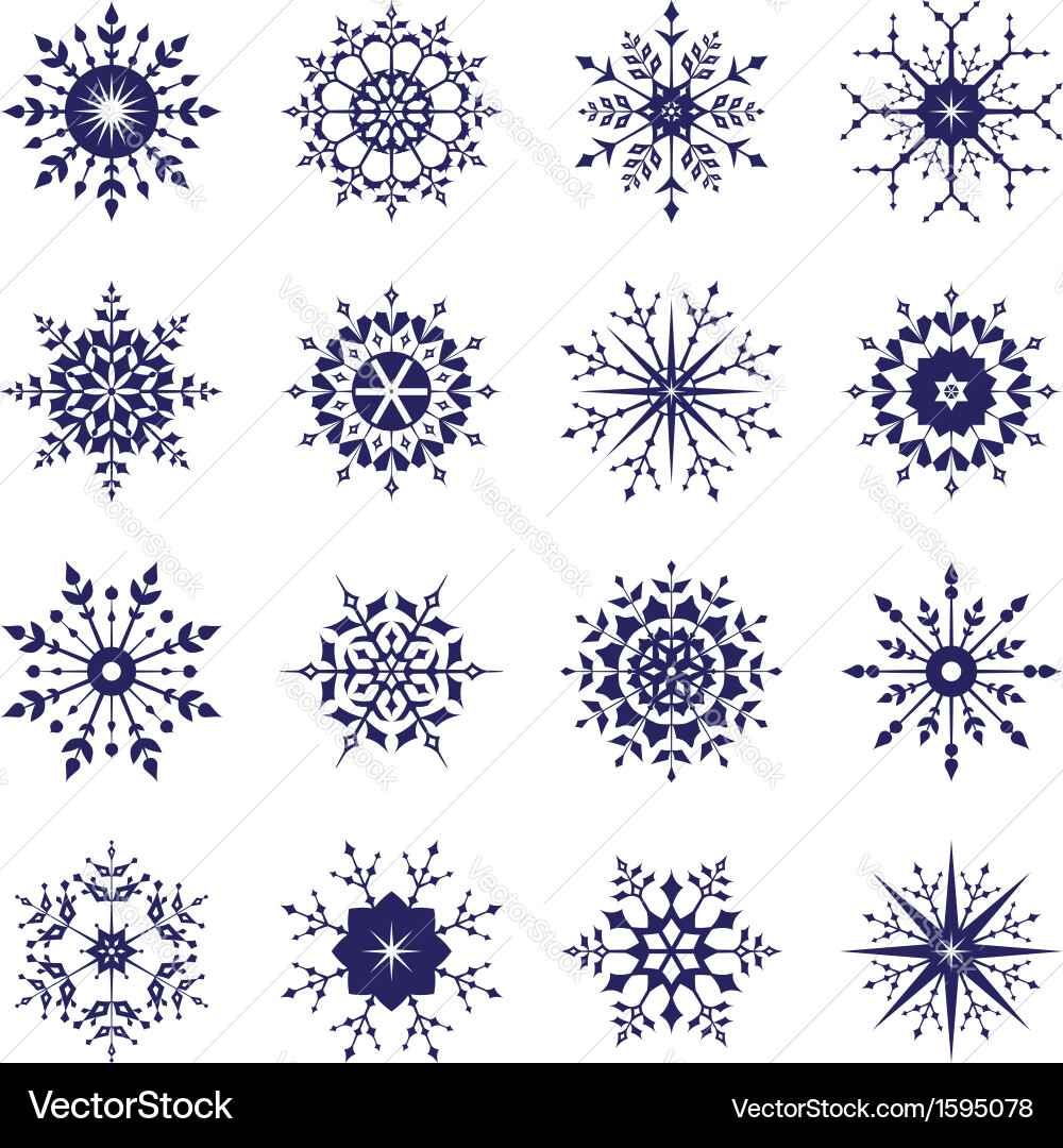 Snowflake Collection - Winter Set vector image