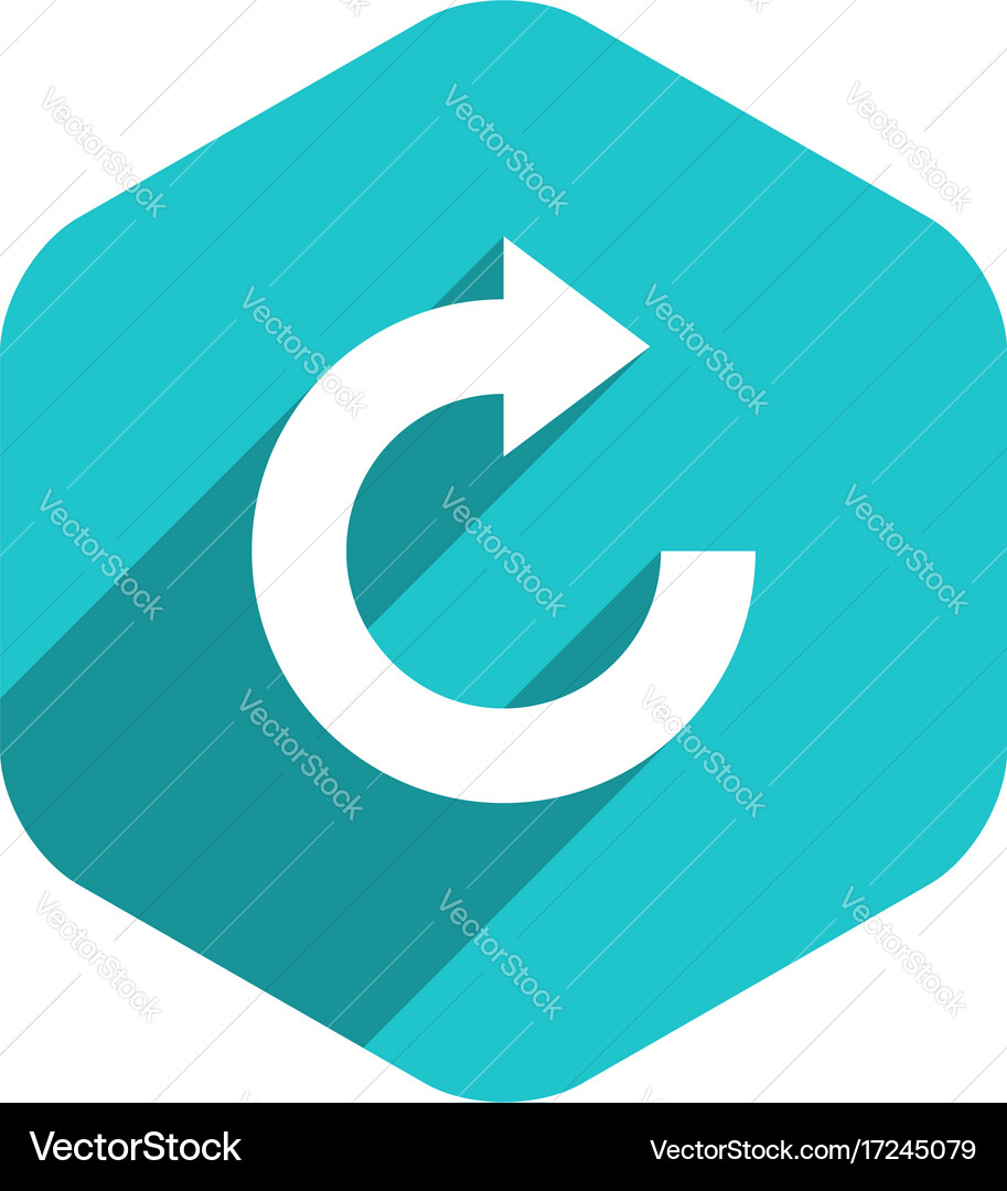 Flat arrow sign reset icon hexagon button vector image