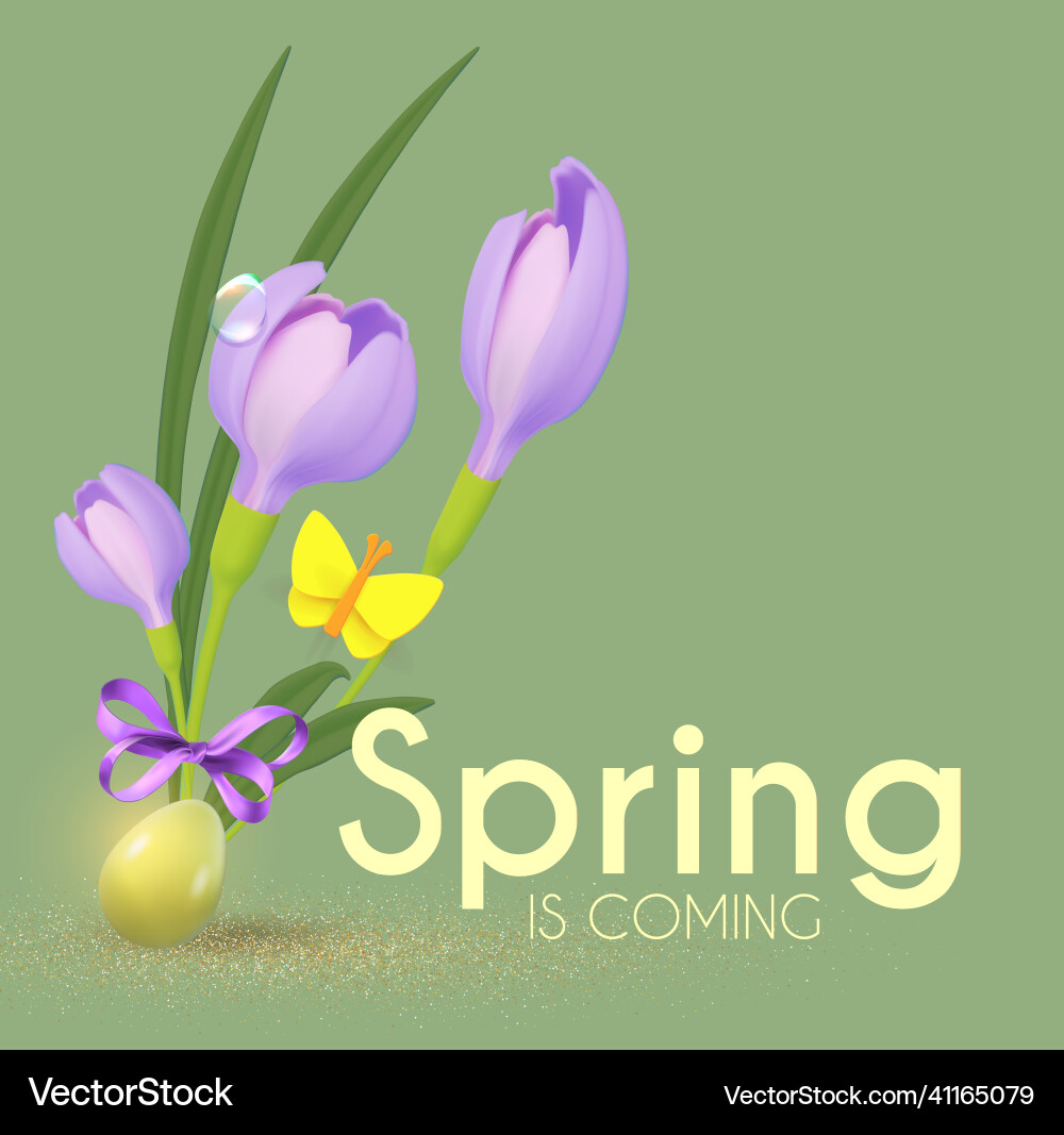 Spring design template with crocus flowers Spring design template with crocus flowers vector image