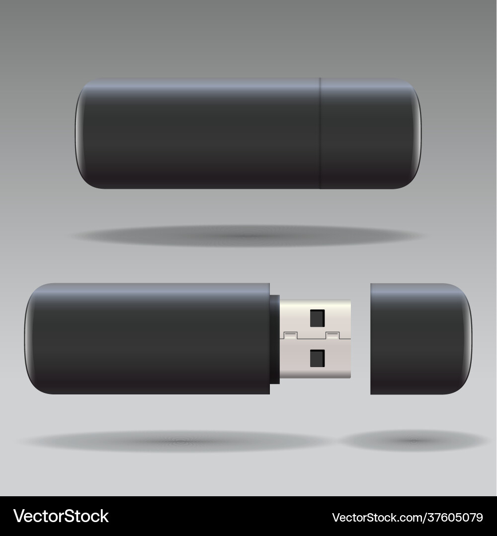 USB Drive Mockup Set - 3D Rendering vector image