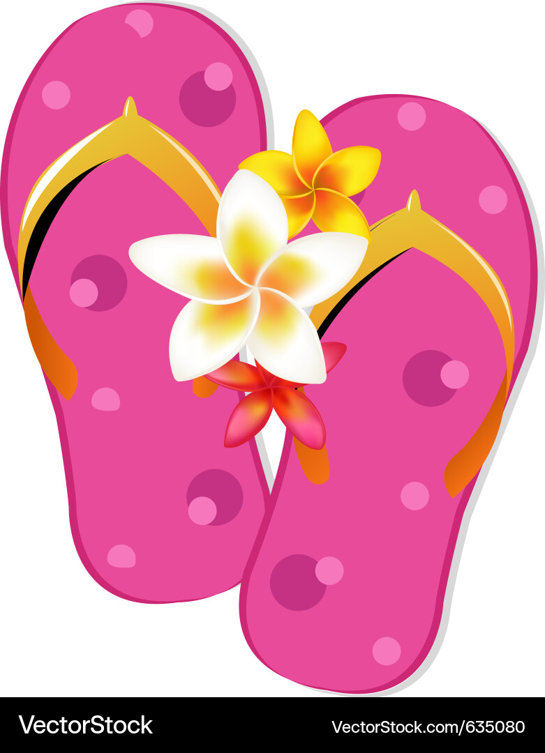 Flip flop sandals Royalty Free Vector Image - VectorStock