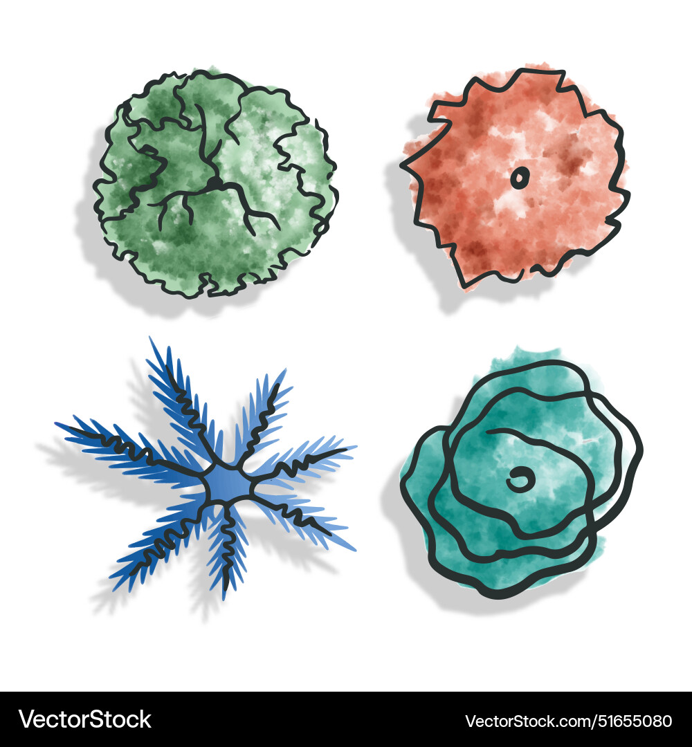 Set trees top view in color pictograms Set trees top view in color pictograms Vector Image