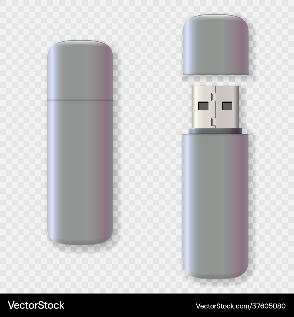 USB Drive Mockup Set - 3D Rendering vector image