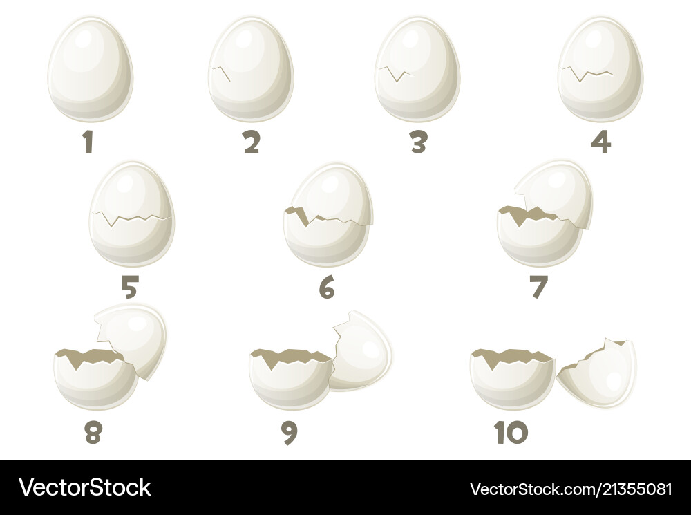 Animated Broken Egg Sequence vector image