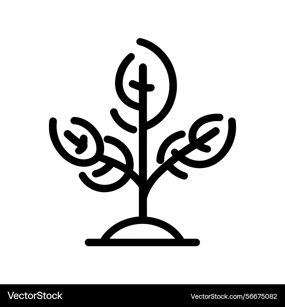 Simple outlined tree on transparent background Vector Image