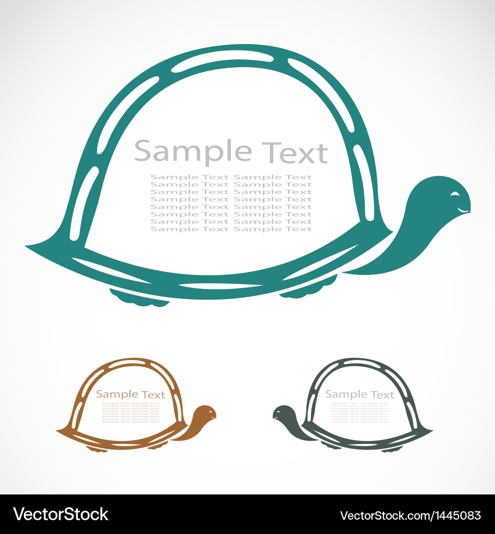 Design of the turtle vector image
