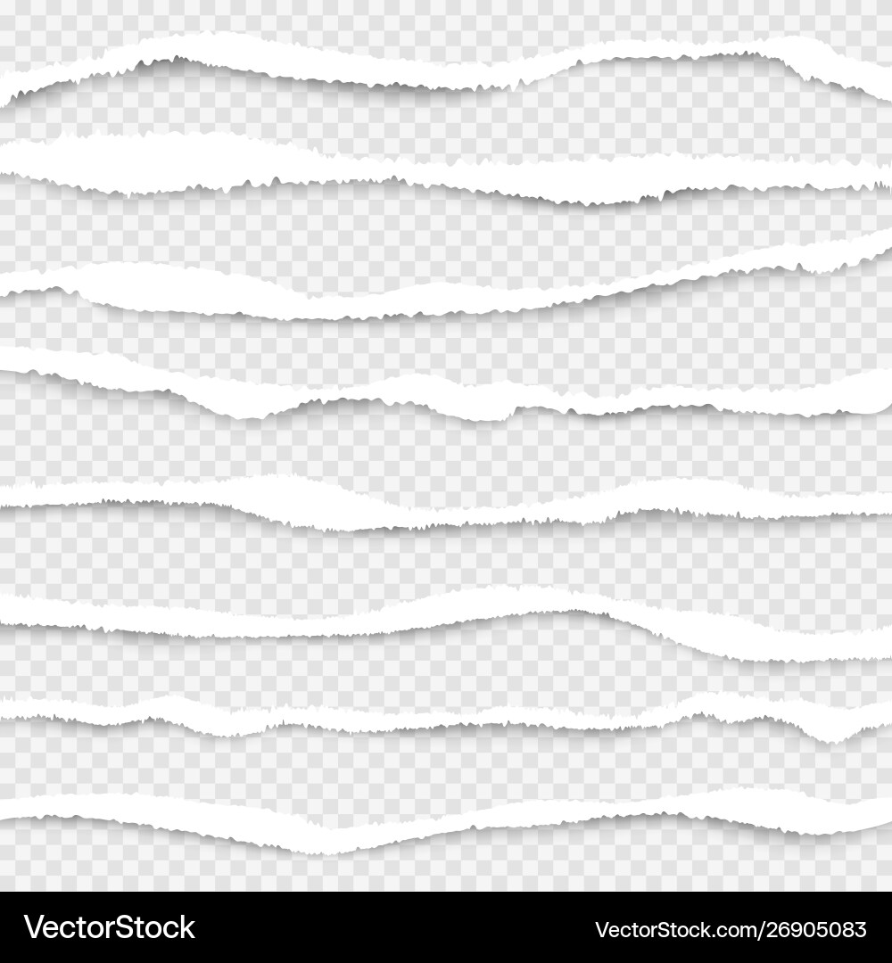 Ripped Paper Edge Texture Royalty Free Vector Image