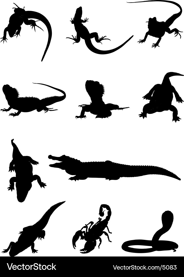 Seamless Reptile Pattern vector image