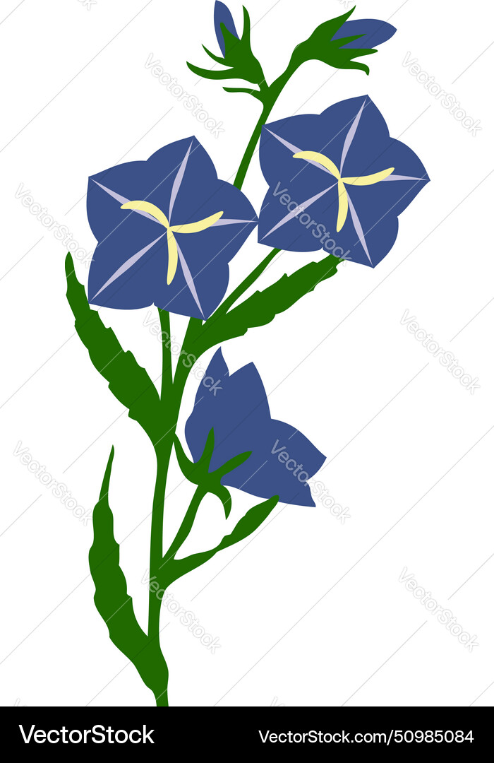 Bell flower vector image