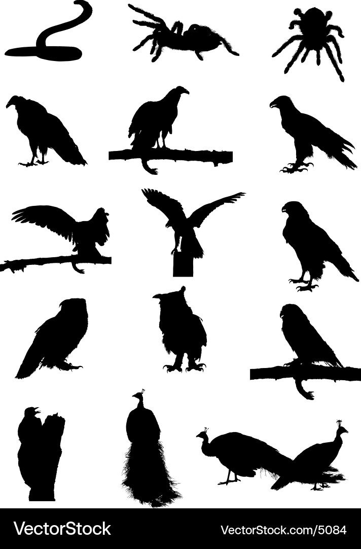 Elegant Silhouette of a Bird in Flight vector image
