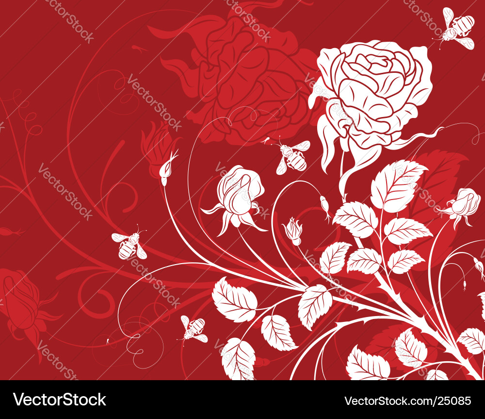 Floral Blossom Background Vector Image