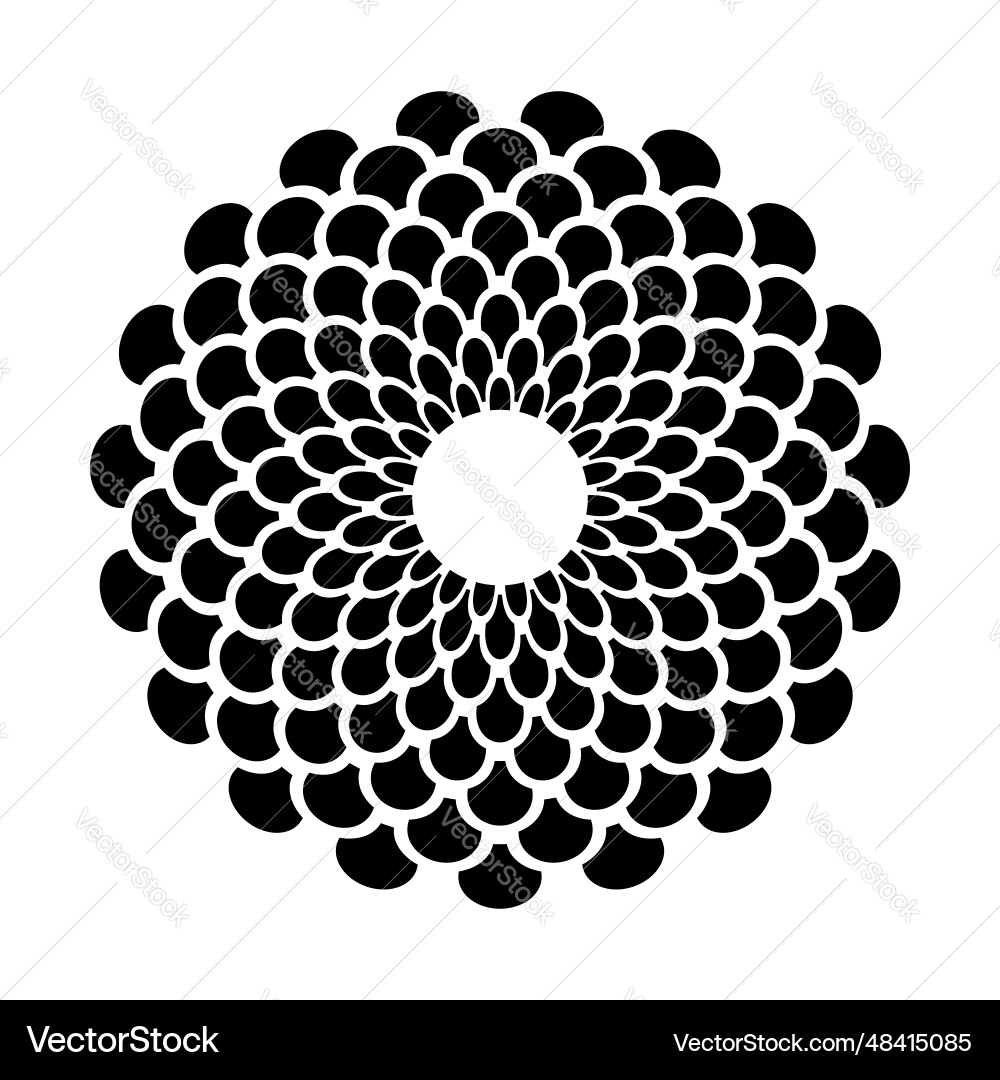 Radial circle pattern vector image