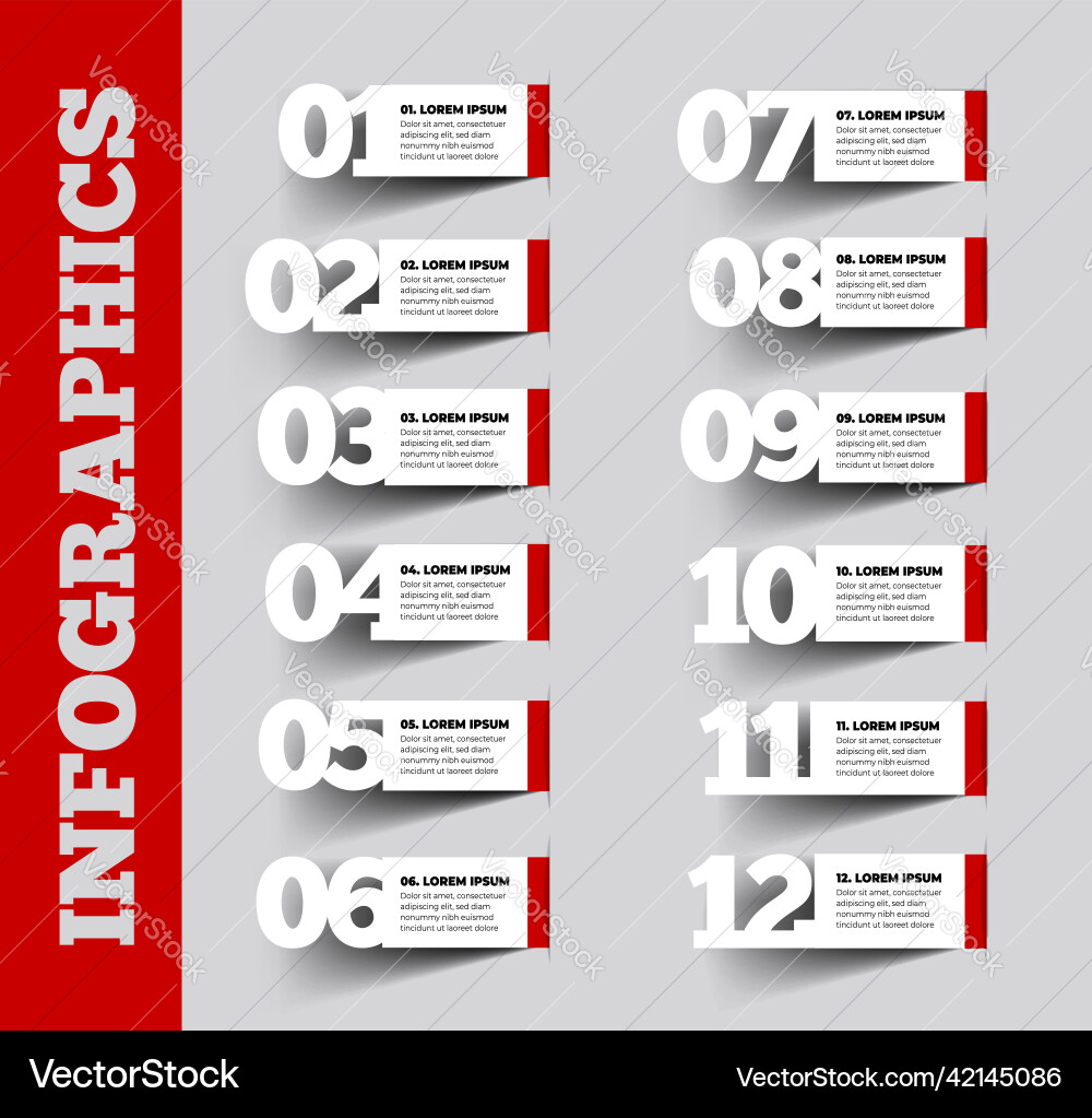 Infographic design template and 12 options vector image