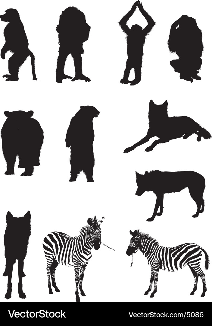 Monkey Silhouette vector image