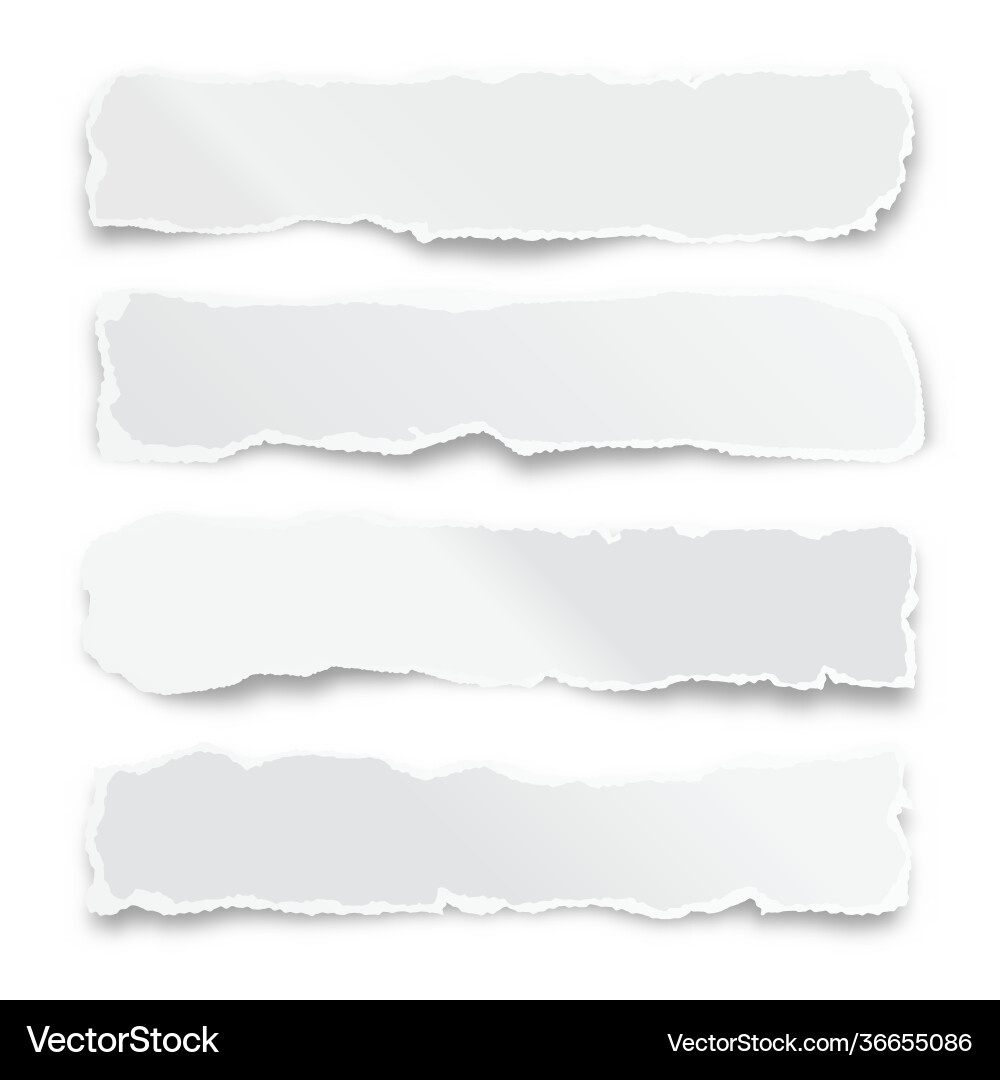 Ripped paper strips isolated on white background vector image