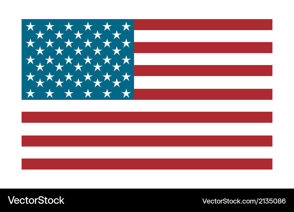 Vintage American Flag Poster Vector Image