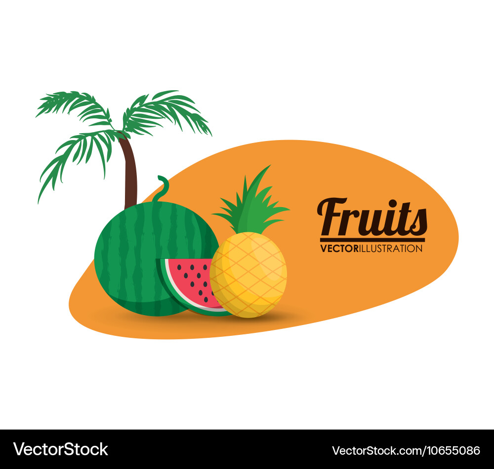 Wassermelone und Ananas Fruchtdesign Vektorbild
