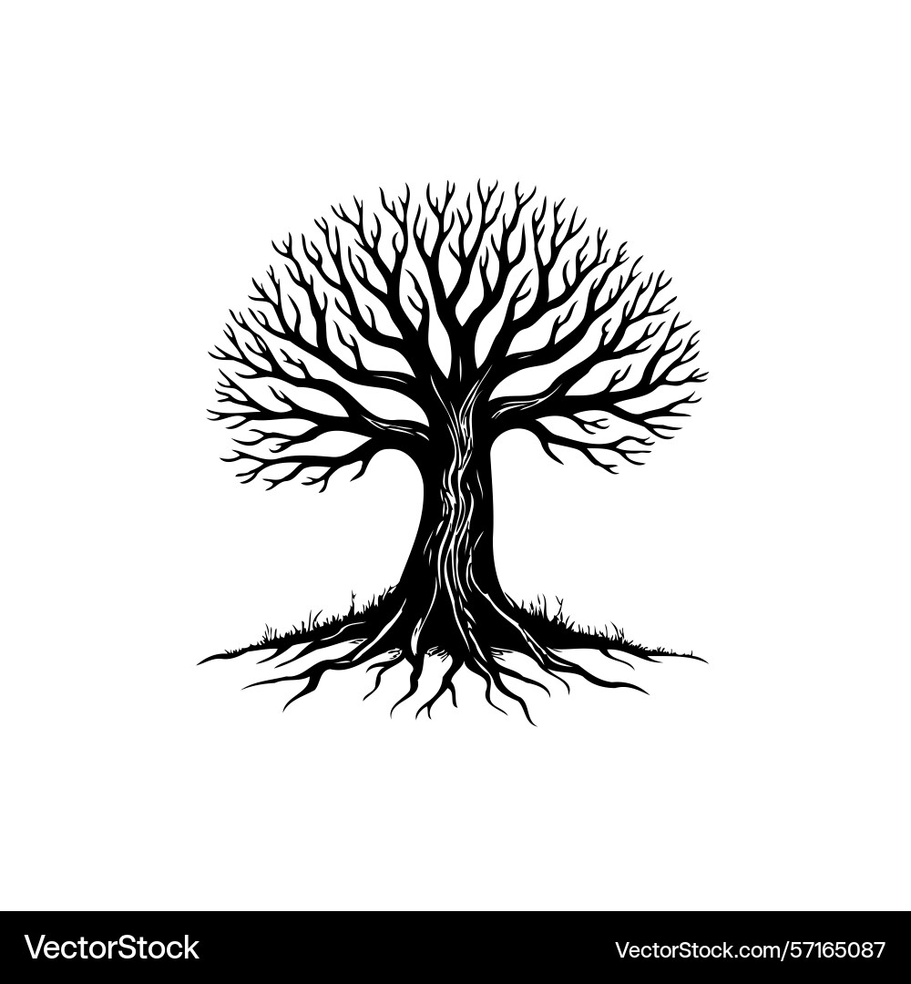 A bare tree with visible roots symbolizing life Vector Image