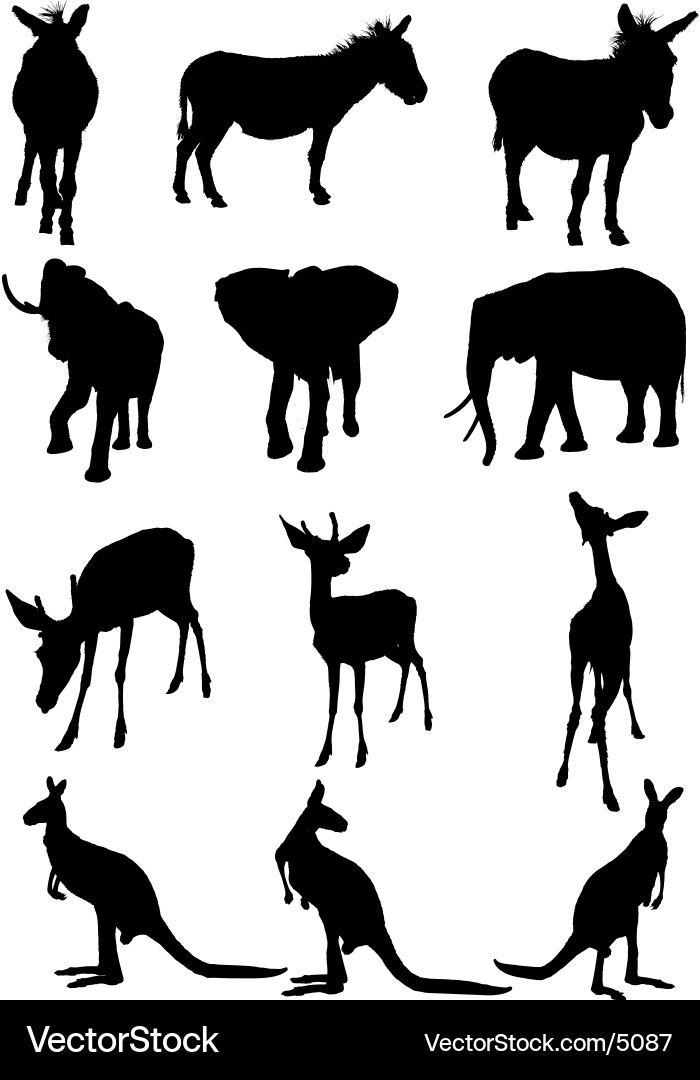 Animal Silhouette Collection Vector Image