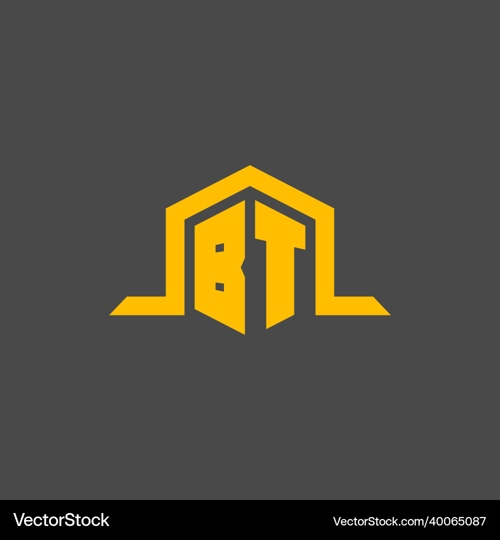 Bt monogram initial logo with hexagon style design Bt monogram initial logo with hexagon style design Vector Image