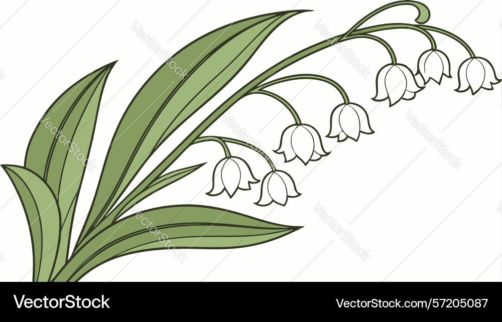 Charming lily of the valley design generative ai Vector Image