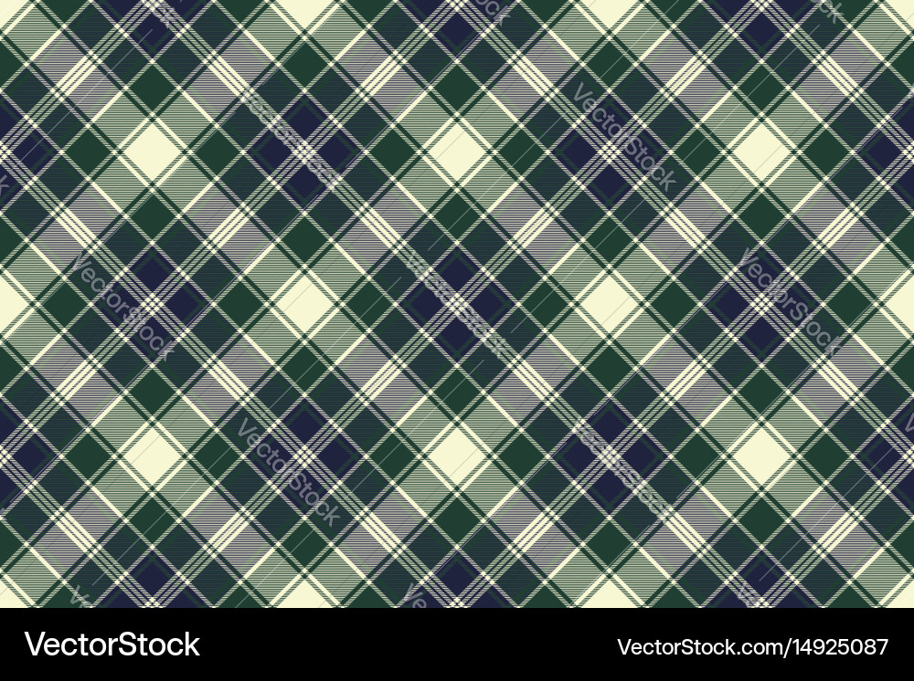 Check plaid seamless pattern vector image