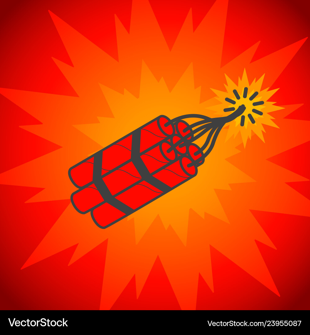 Concept of dynamite on white vector image