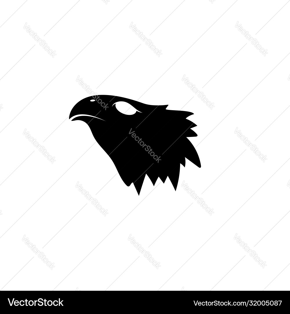 Eagle design template Eagle design template Vector Image
