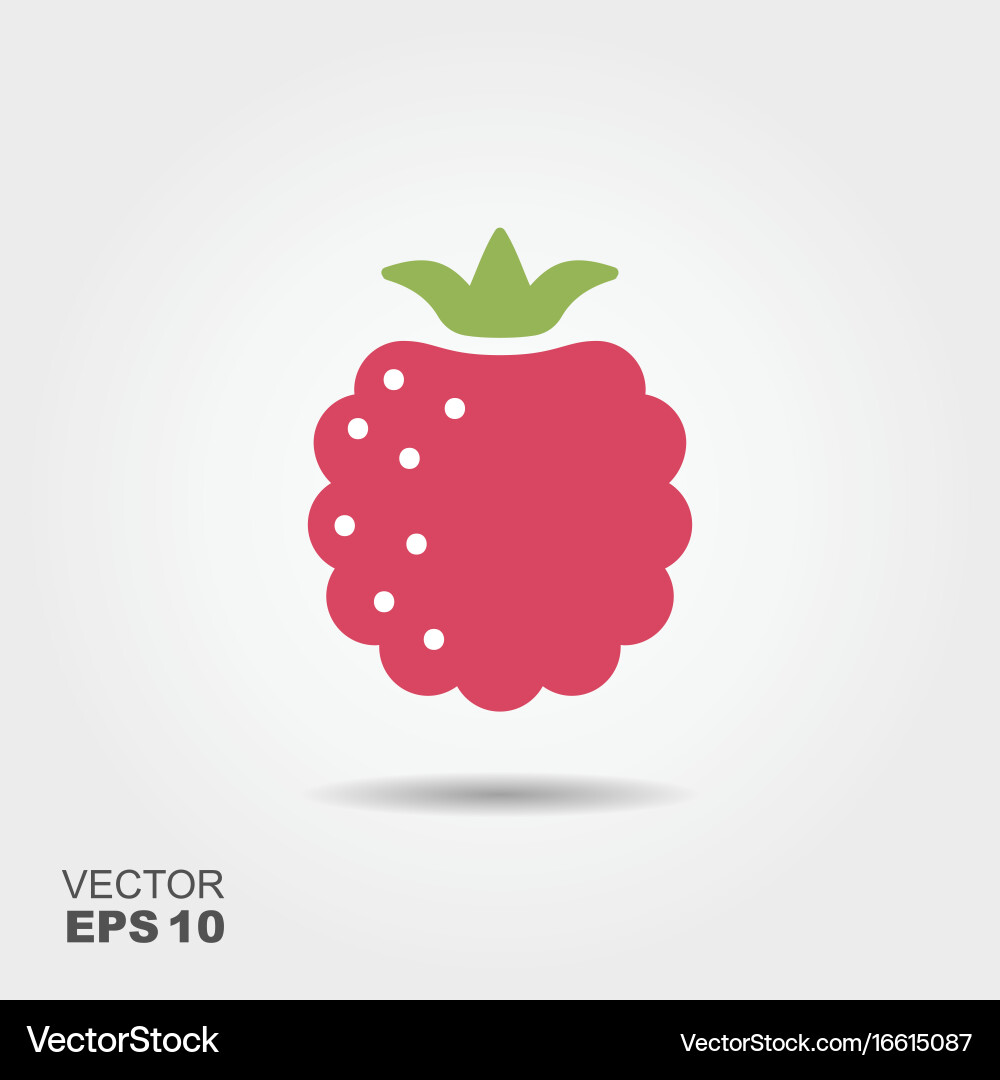 Ripe Raspberry Icon with Shadow vector image
