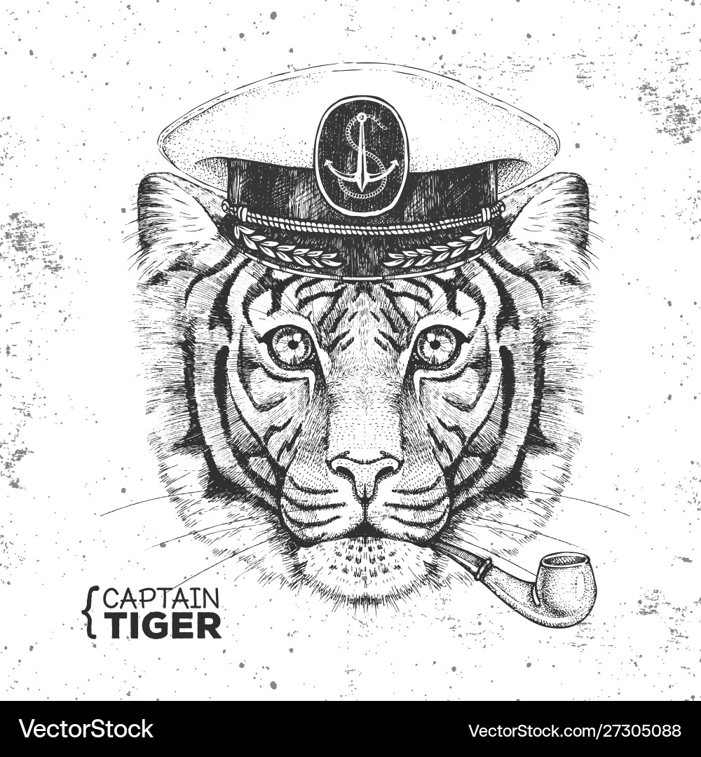 Hipster animal tiger captains cap and pipe Hipster animal tiger captains cap and pipe vector image