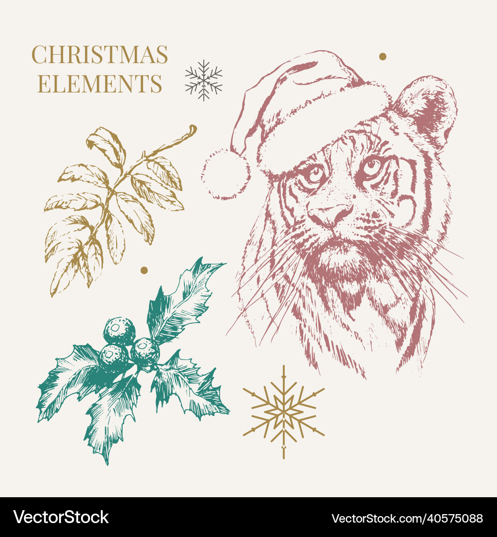 Tiger in christmas hat print on a postcard Tiger in christmas hat print on a postcard vector image
