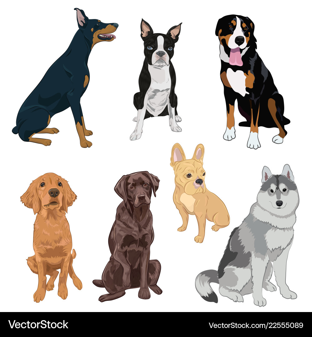 Mountain Cur Vector Images (60)
