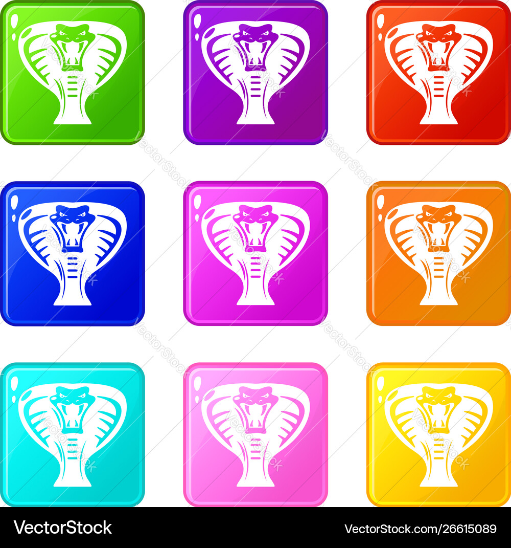 Snake icons set 9 color collection vector image