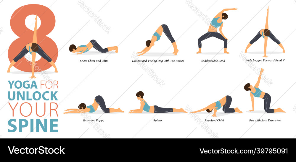 8 Dynamic Yoga Poses for Spinal Health Vector Image