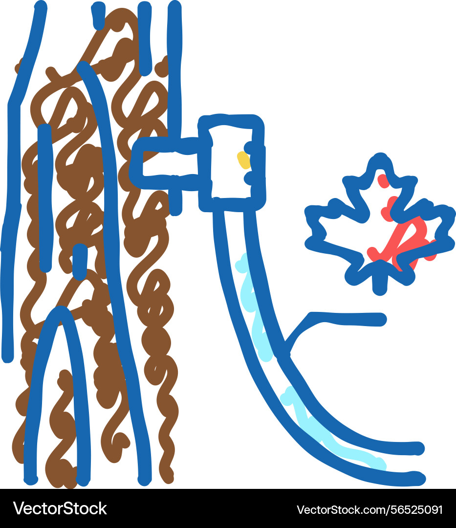 Maple sap collection using tubing method icon Vector Image