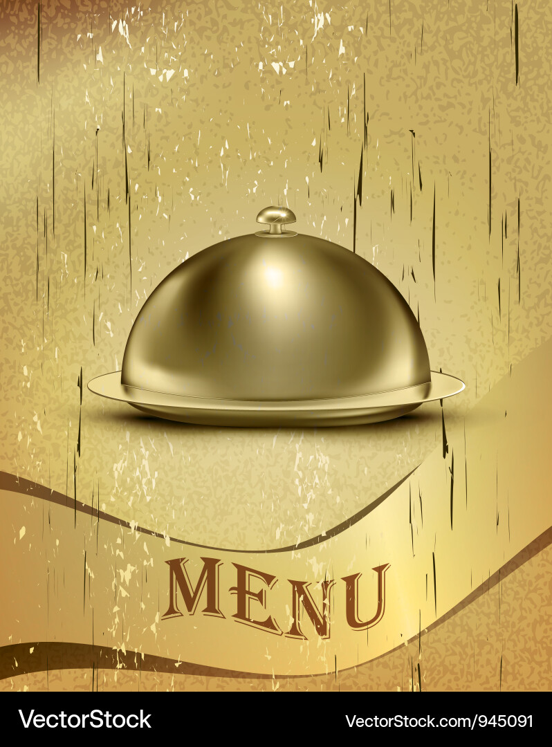 Old catering tray background vector image