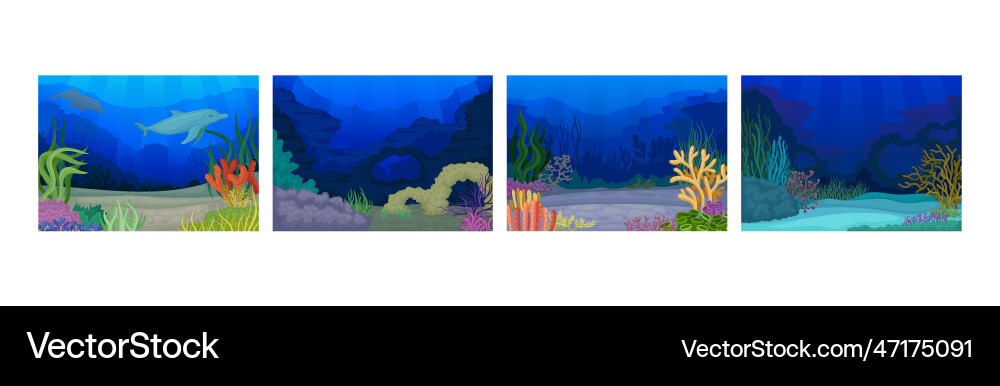 Underwater bottom view with algae and sea weeds Underwater bottom view with algae and sea weeds Vector Image