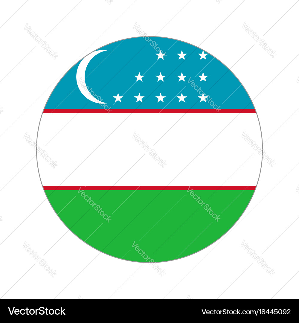 Circular Flag Icon Vector Image