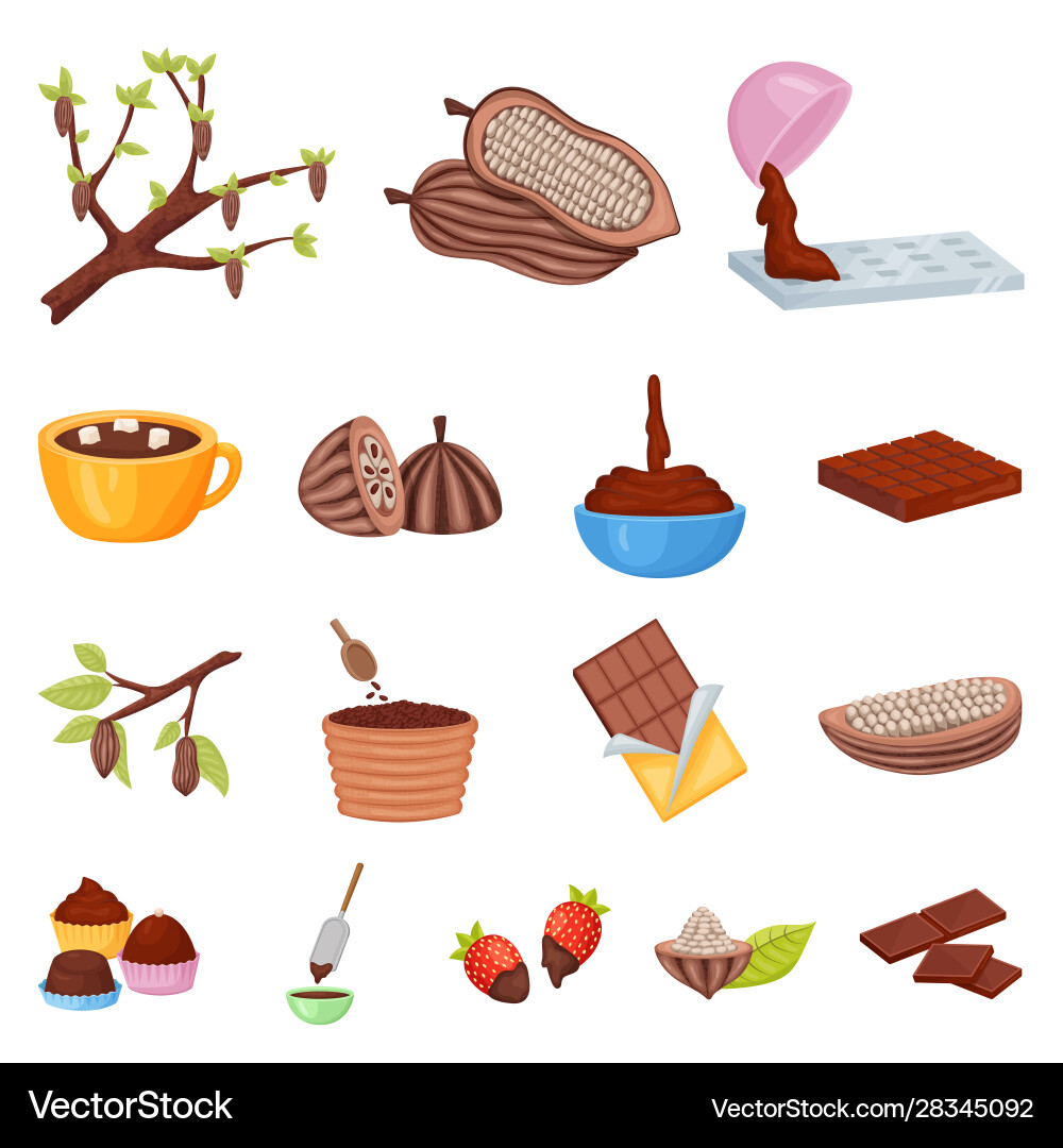 Design cocoa and beans logo set Vector Image