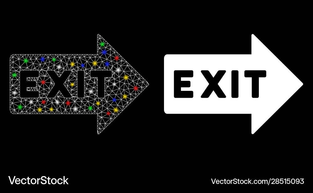 Bright mesh wire frame exit arrow icon with flare Bright mesh wire frame exit arrow icon with flare vector image