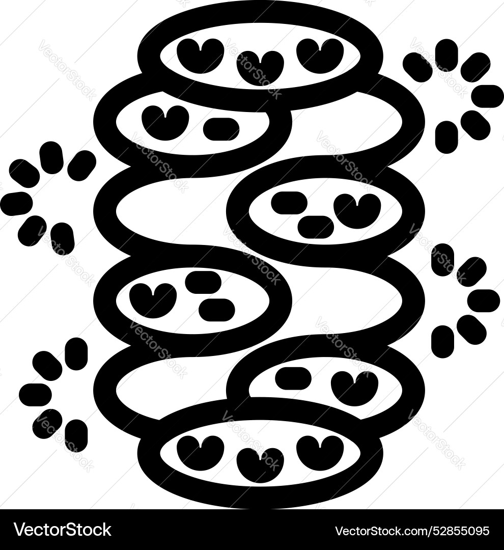 Bacteria dividing and multiplying through binary Bacteria dividing and multiplying through binary vector image