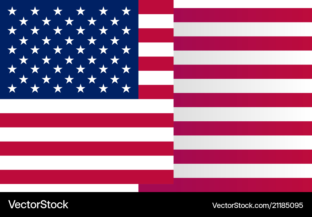 Waving USA Flag on White Vector Image