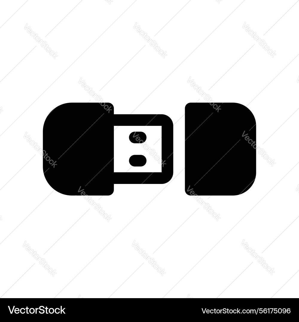 Icon displaying a universal serial bus flash vector image