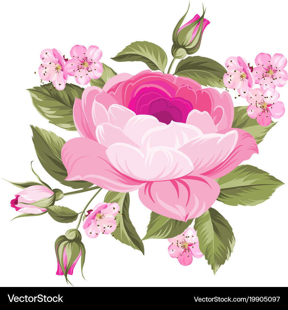 Blooming rose Vector Image