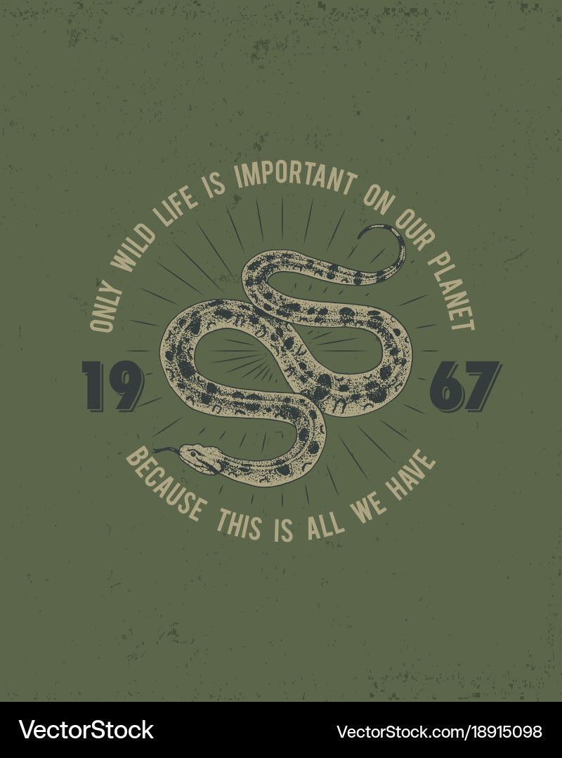 Serpent Snake - Viper, Cobra, Python vector image