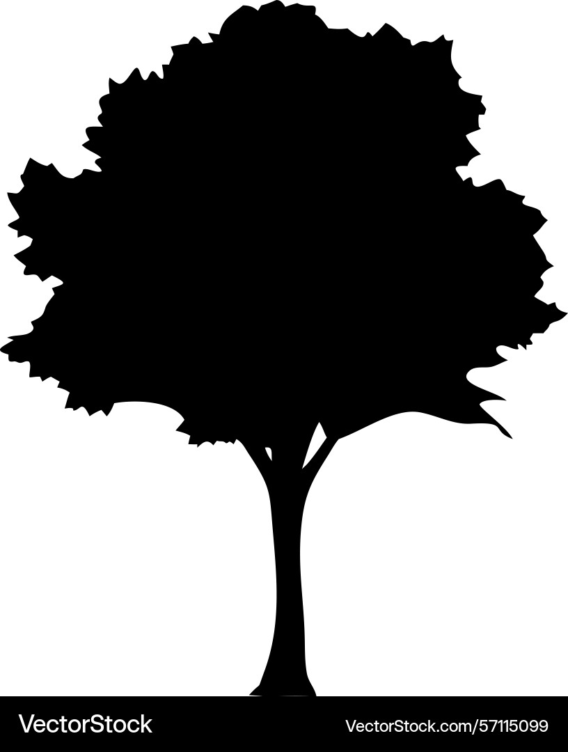 Tree silhouette on withe background vector image