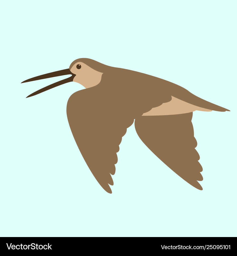 Baird Vector Images (14)