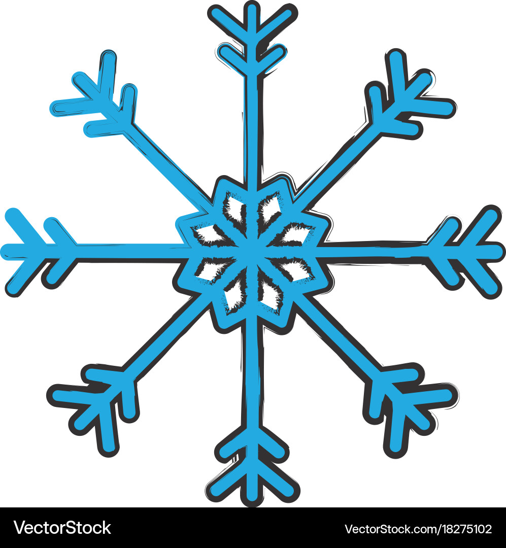 Snowflake icon image Vector Image