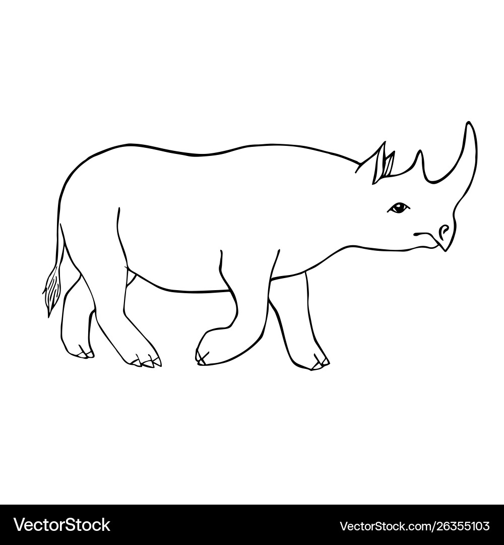 Black outline hand drawn sketch rhino – Royalty-Free Vector | VectorStock, image size:1000x1080